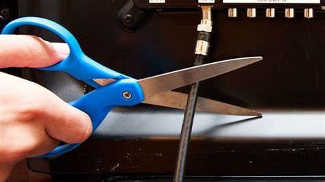 Do you still have Cable? Those cutting cable up 60%